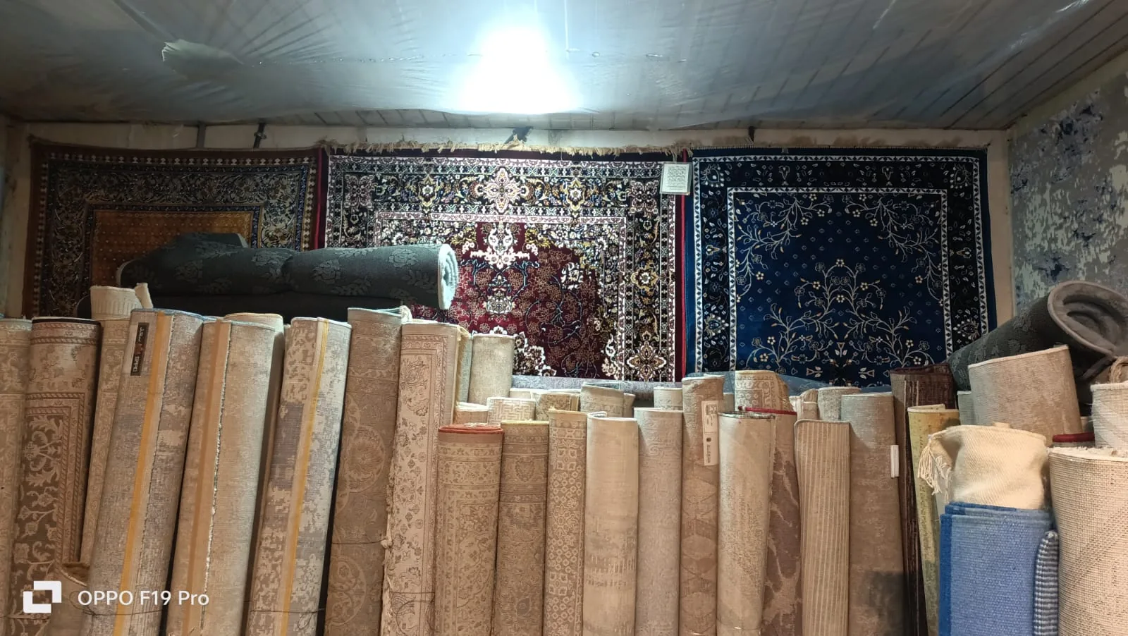 Carpet export supplier collection